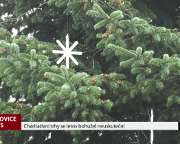 Charitativní trhy se letos bohužel neuskuteční