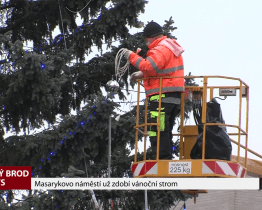 Masarykovo náměstí už zdobí vánoční strom