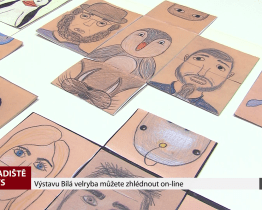 Výstavu Bílá velryba můžete zhlédnout on-line