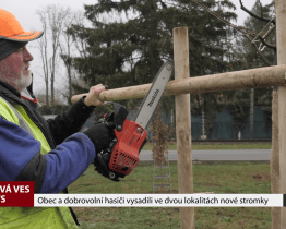 Obec a dobrovolní hasiči vysadili ve dvou lokalitách nové stromky