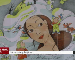 Výstava Vlasty Švejdové