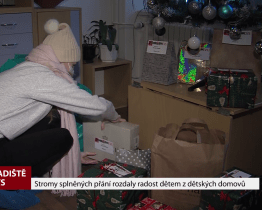 Stromy splněných přání rozdaly radost dětem z dětských domovů