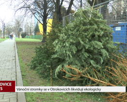 Vánoční stromky se v Otrokovicích likvidují ekologicky 