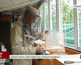 Včelaři mohou opět žádat kraj o finanční podporu