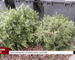 Svoz vánočních stromků začal v pondělí