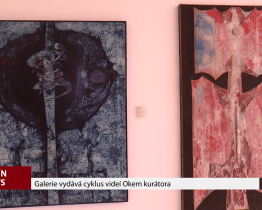 Galerie vydává cyklus videí Okem kurátora