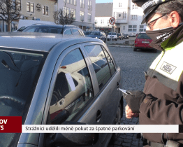 Strážníci udělili méně pokut za špatné parkování