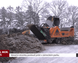 Vánoční stromky poslouží ještě v zámeckém parku