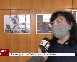 Karneval je letos ve Strážnici alespoň z obýváku