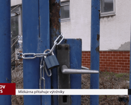 Mlékárna přitahuje výtržníky