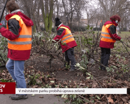 V městském parku probíhá úprava zeleně