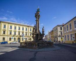 Město chce restaurovat morové sloupy