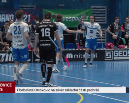 Florbalisté Otrokovic na závěr základní části prohráli