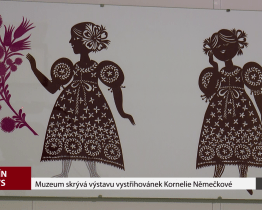 Muzeum skrývá výstavu vystřihovánek Kornelie Němečkové