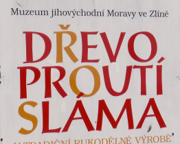 Muzeum jihovýchodní Moravy ve Zlíně připravuje nové výstavy