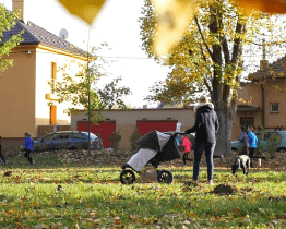 Zapojte se do národní pohybové výzvy