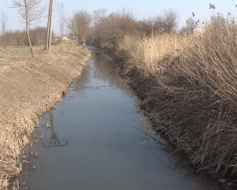 Vyčištění potoku Petříkovec