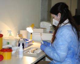 Denní počet očkovaných se zdvojnásobil, k očkování se mohou hlásit i starší 65 let