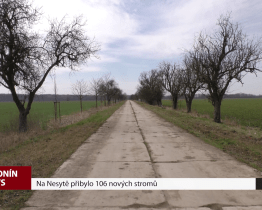 Na Nesytě přibylo 106 nových stromů