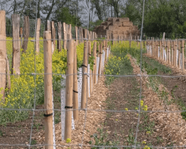 Biokoridor má zadržet vodu v krajině