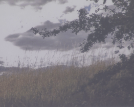 Knihovna nabízí novou fotografickou výstavu