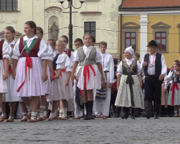 Kraj finančně podpoří Slavnosti vína i festival UNITED
