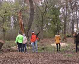 Kůrovcová těžba si vyžádá opravy vozovek