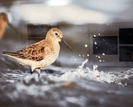 Čtyřicátý třetí ročník fotografické soutěže zná své vítěze