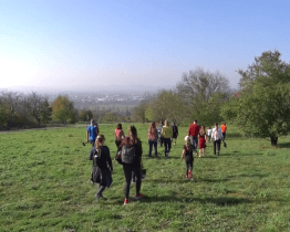 Rochus čekají pozemkové úpravy