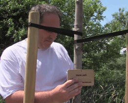 Občané města sází stromy za narozené děti