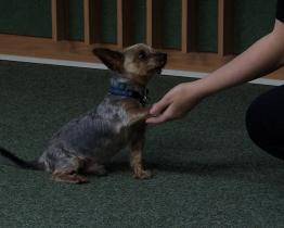 Zlínský kraj podpoří zkvalitnění výuky v kroměřížské a uherskobrodské škole částkou přesahující 7 milionů korun.