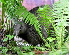 Zlínská zoo se v neděli otevře hned po rozbřesku