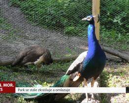 Zámecký park se stává krásnějším