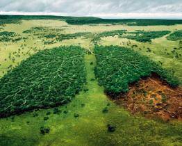 Vyjádřete se ke stavu ovzduší 