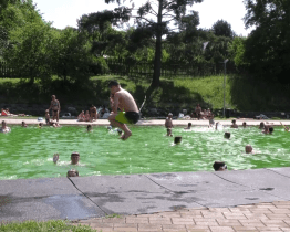 Horké dny zaplnily bohuslavický biotop