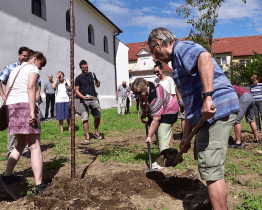  Devět nových stromů u Chrámu Mistra Jana Husa má své patrony 
