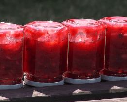 Příměstský tábor v zahradě lišky Bystroušky