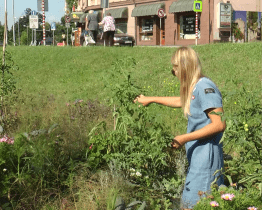 Lidmilovu louku provoněly bylinky