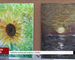 Výstava obrazů malovaných voskem je k vidění v Kyjově