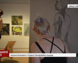 Večerní kreslení v Galerii Slováckého muzea