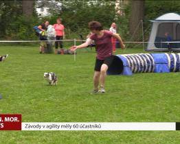 Závody v agility měly 60 účastníků