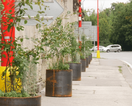 Velehradská třída se zazelená