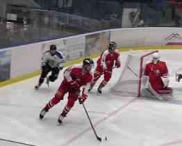 Hokejisté slavili i pomáhali