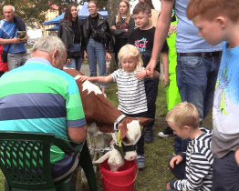Chovatelé připravili výstavu věnovanou hlavně mládeži
