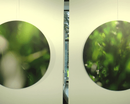 Výsledky výtvarného sympozia jsou k vidění v kině Hvězda