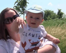 Rodiče budou znovu sázet stromy