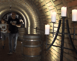 Putování Vinohraskou ulicí se vydařilo