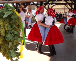 Lužická chasa prošla obcí s obřím hroznem