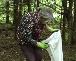 Krajský úřad se zapojil do akce Ukliďme svět