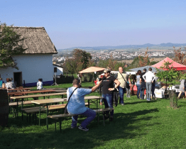 Festival chutí a vůní na Rochusu byl tentokrát medový 